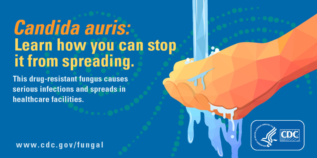 FDAW_Candida_1200X600 FDAW_Candida_1200X600